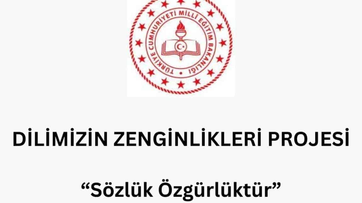 DİLİMİZİN ZENGİNLİKLERİ